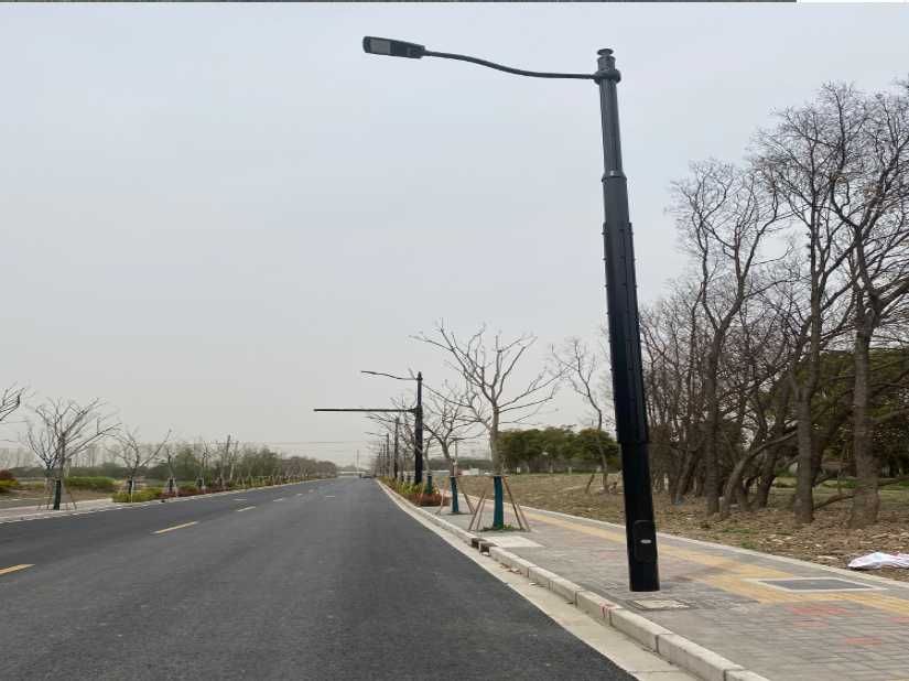 福山区上海综合杆 太阳能路灯工程